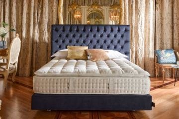 CAT_MAGNIFIQUE_ESSENZIA_23_014